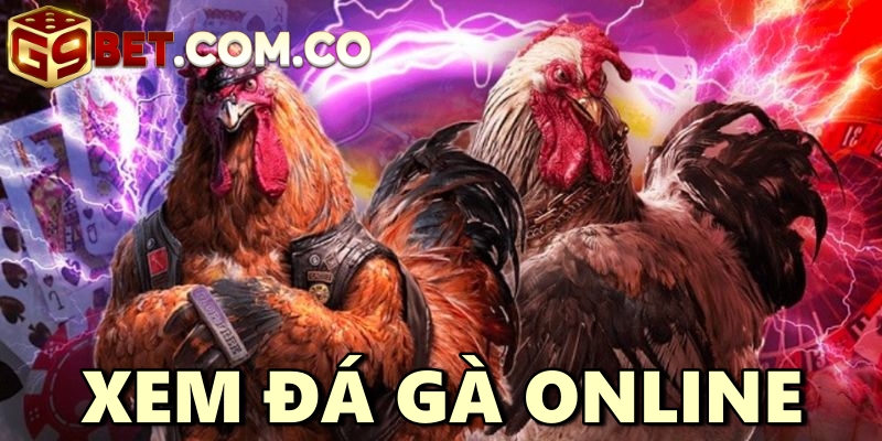 Đá Gà Online G9BET