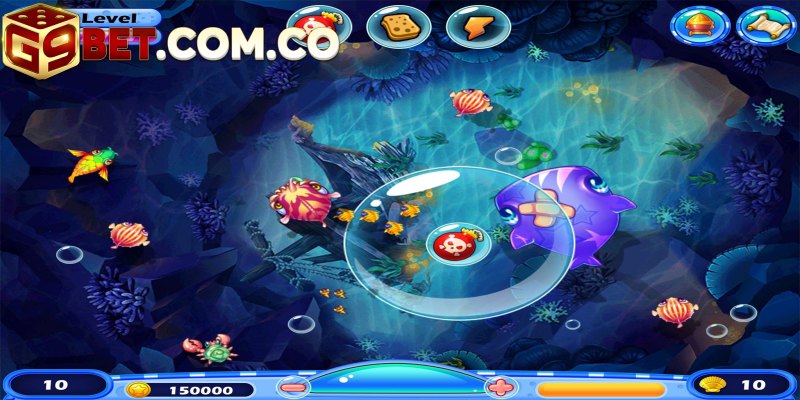 Zumas honor là game cược đầy thử thách