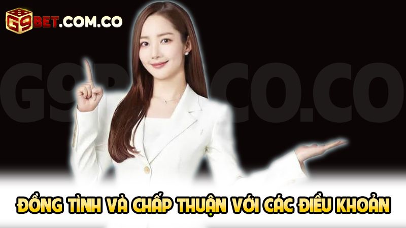Đồng tình và chấp nhận với các điều khoản